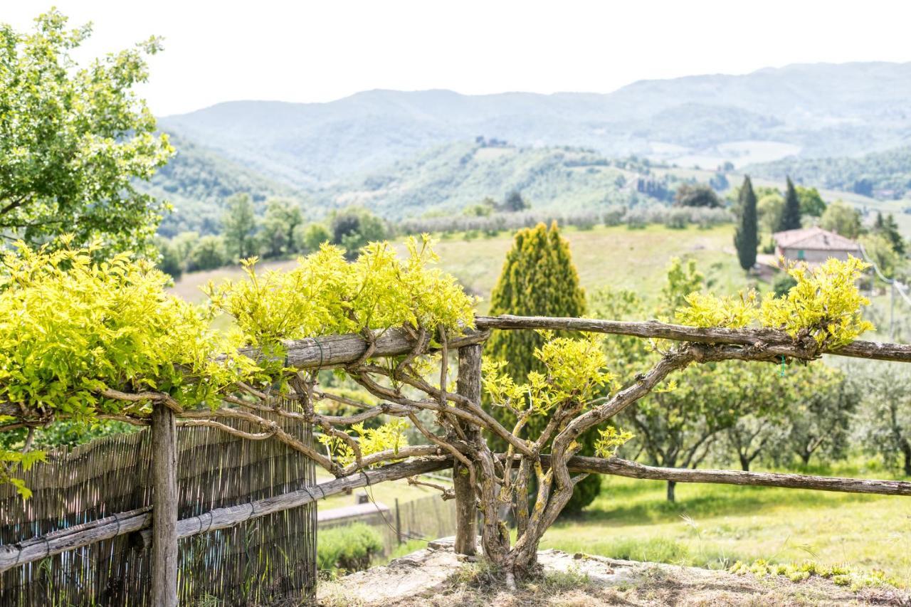 Agriturismo La Sala Greve in Chianti Εξωτερικό φωτογραφία